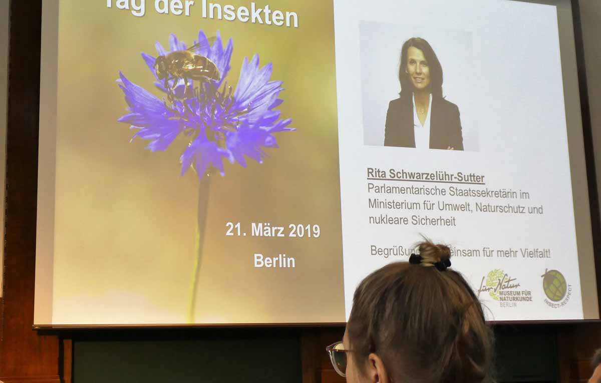 Vortrag auf dem Tag der Insekten am 21.3.2019 Rita Schwarzelühr-Sutter
