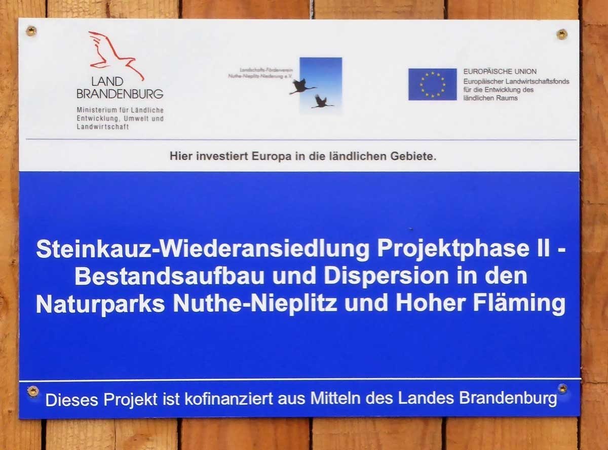 Projektschild