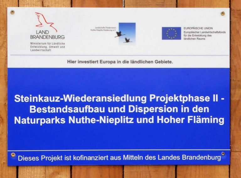 Projektschild