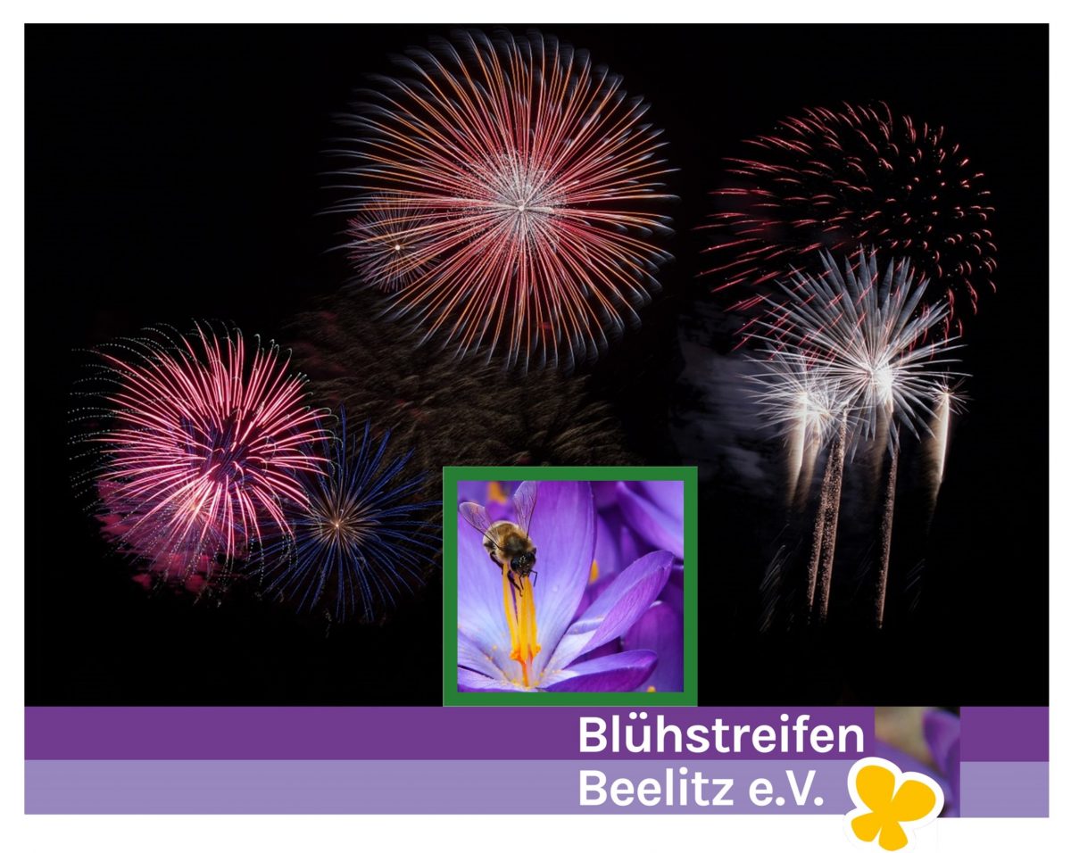 Jahresrückblick Blühstreifen Beelitz e.V.