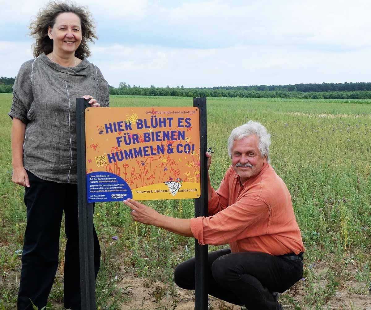 greenpeace magazin Fläche