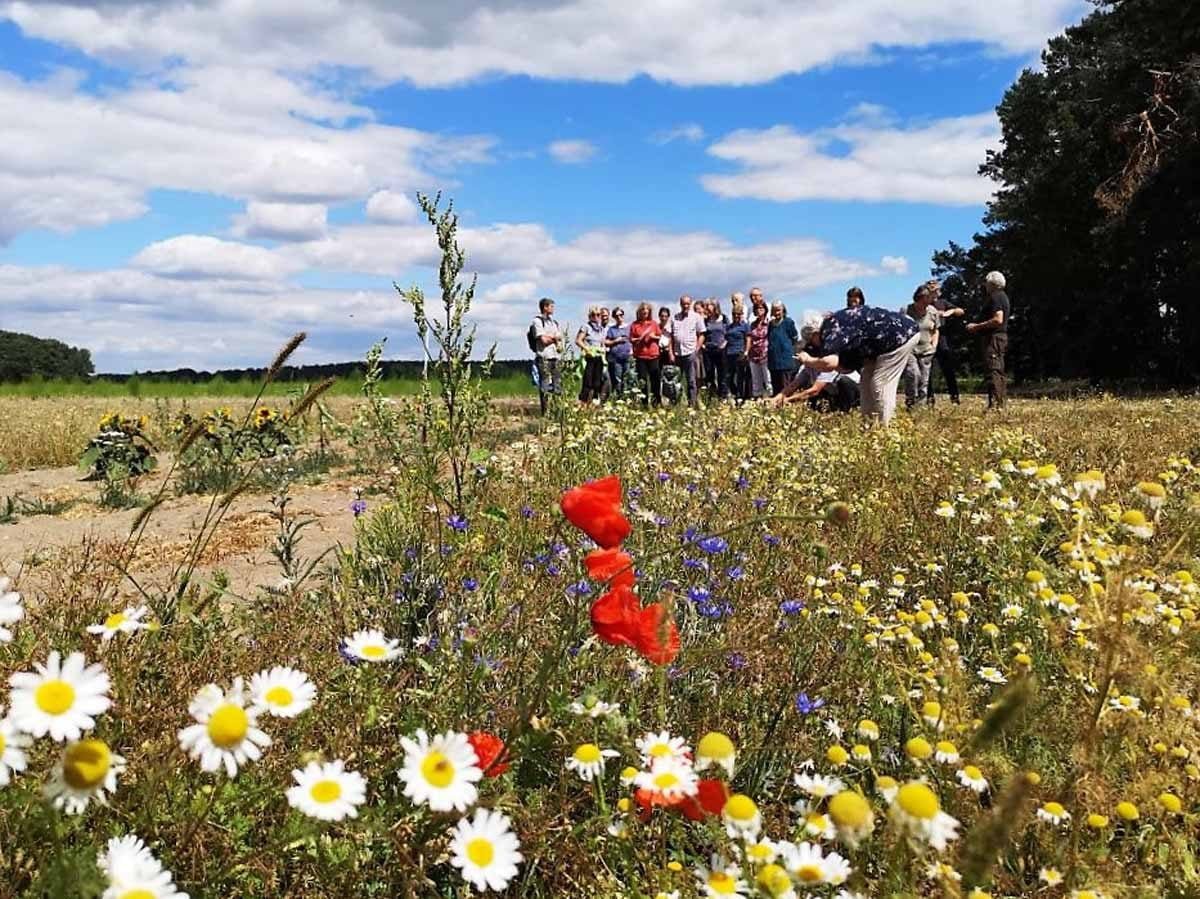 Flächen Vorstellung - Wildsamenvermehrung