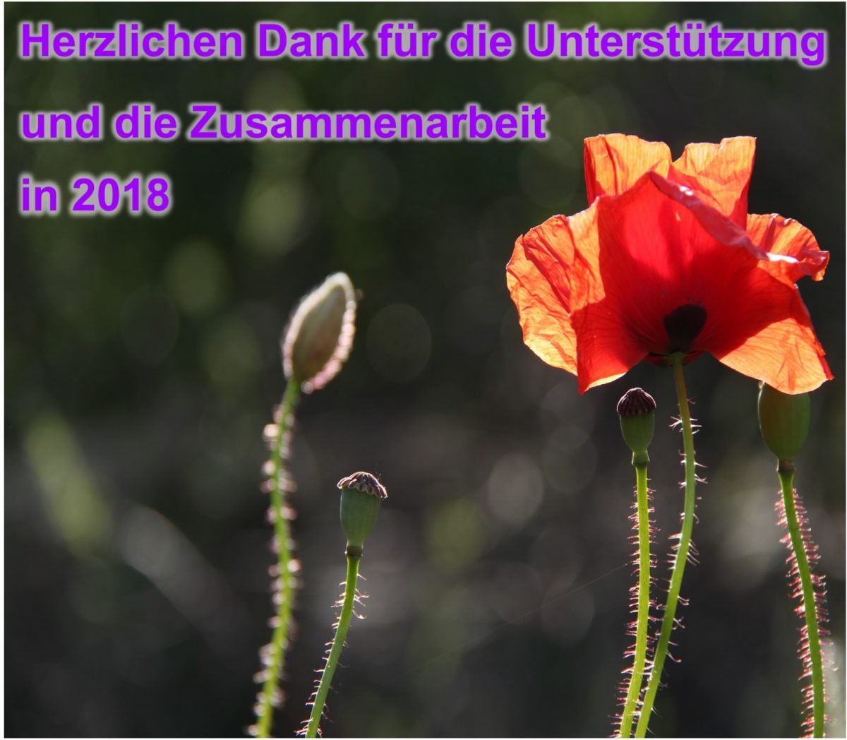 Dank für die Zusammenarbeit in 2018