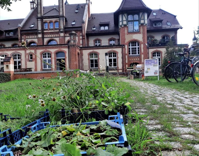 20200909_Planzaktion Heilstätten