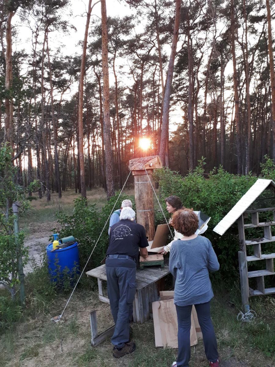Herstellen Einflugkarton 2