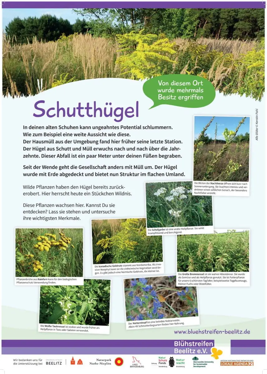 Schutthügel