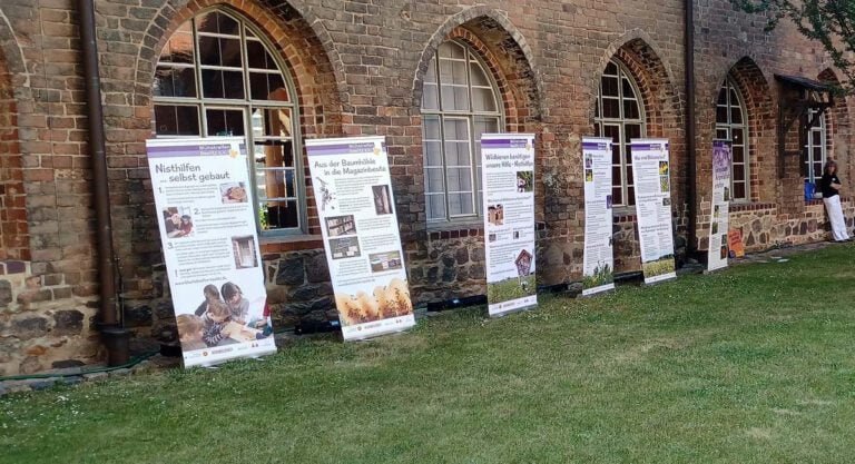 Ausstellung Blühstreifen Beelitz e.V.