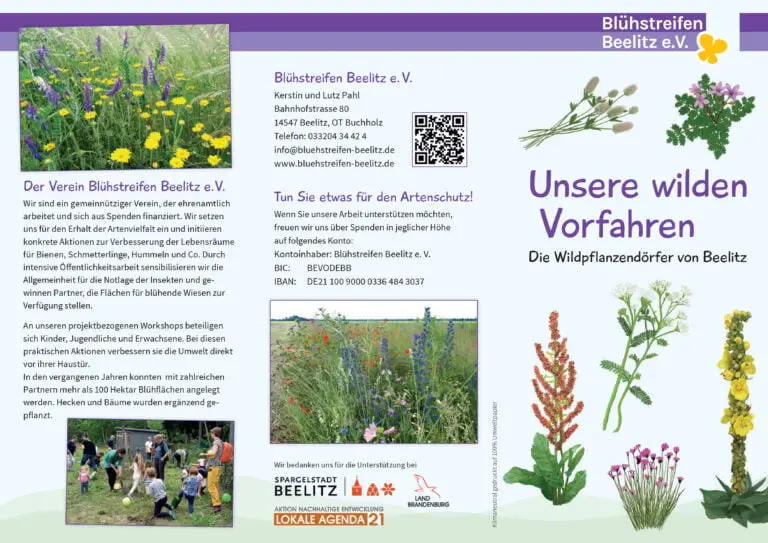 LAGA Wildpflanzendörfer Seite 1