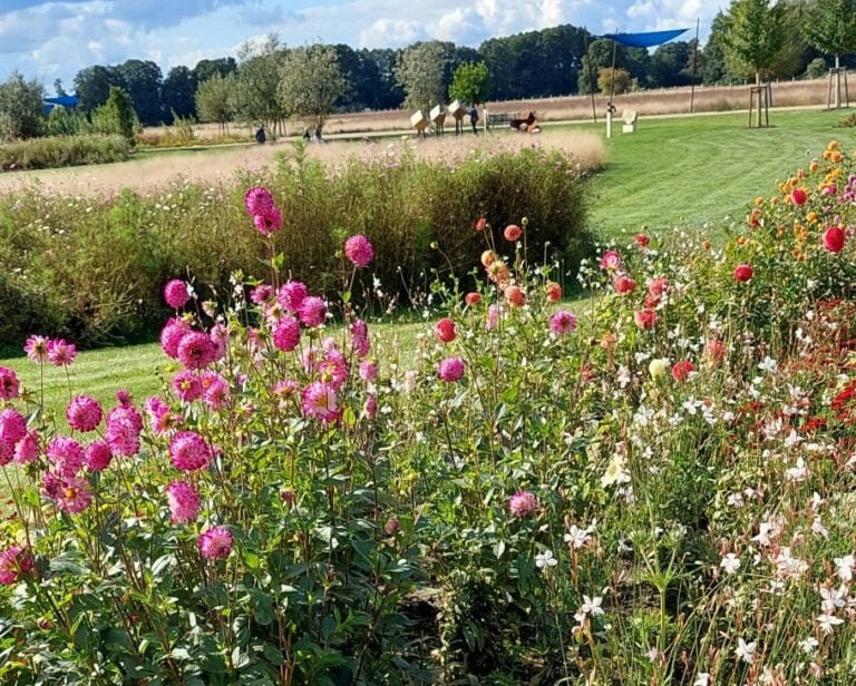 Herbst Teamtag LAGA