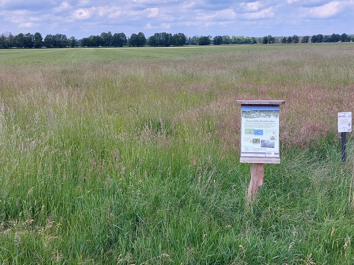Dauerhafte Randstreifen