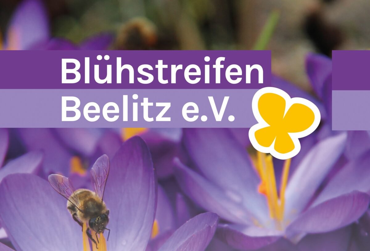 Blühstreifen Beelitz