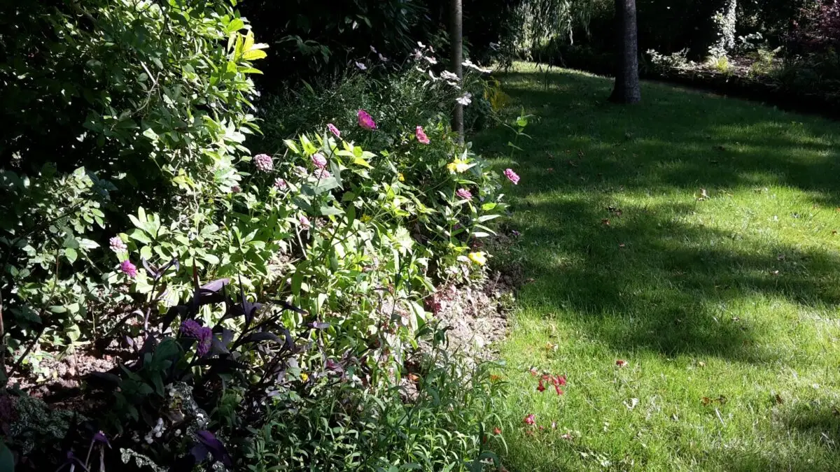 Sonne und Schatten