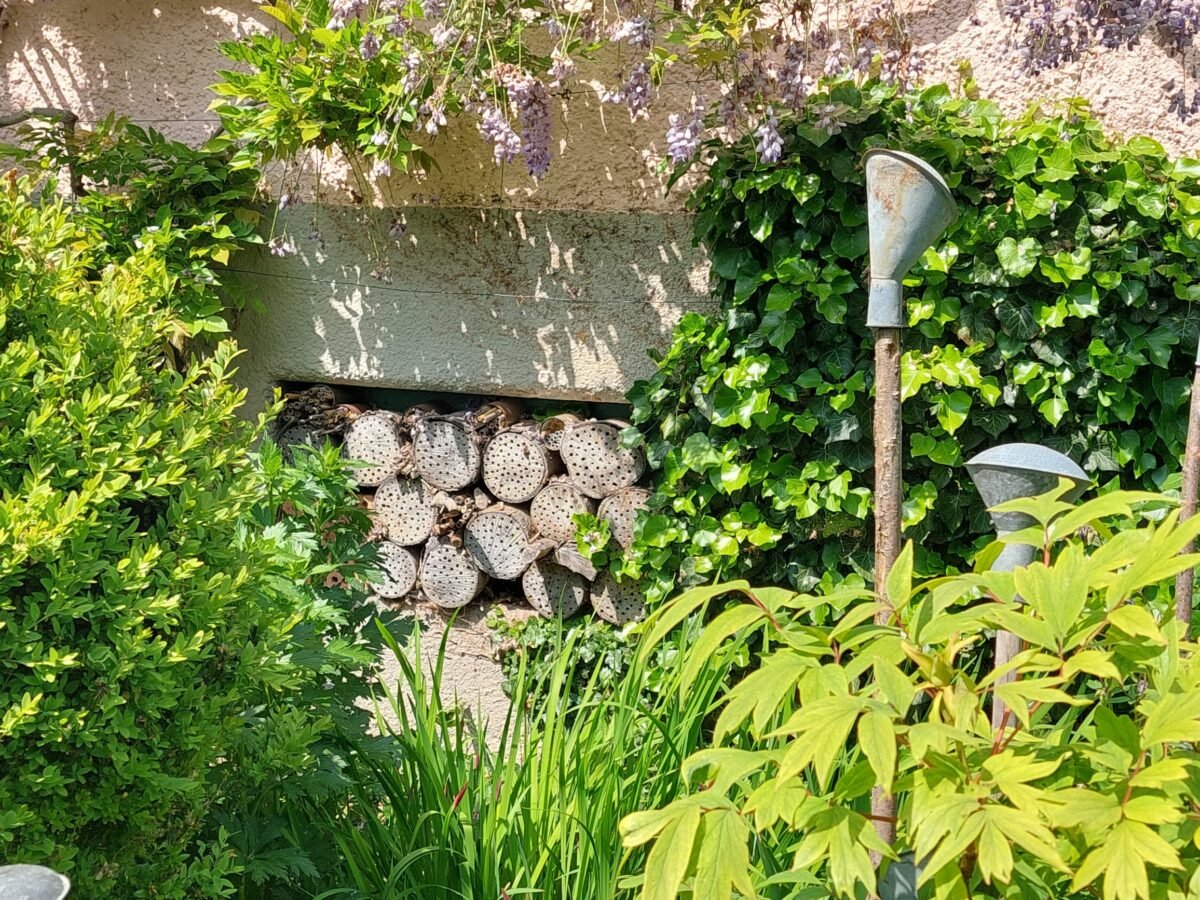 Warum mehr Natur im Garten?