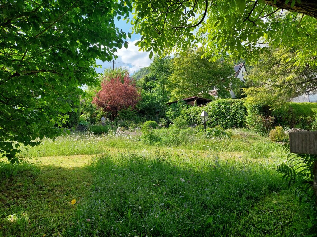 Klimafitter Garten – der erste Schritt