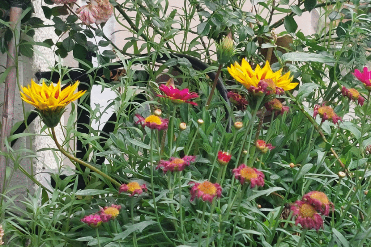 Insektenparadies