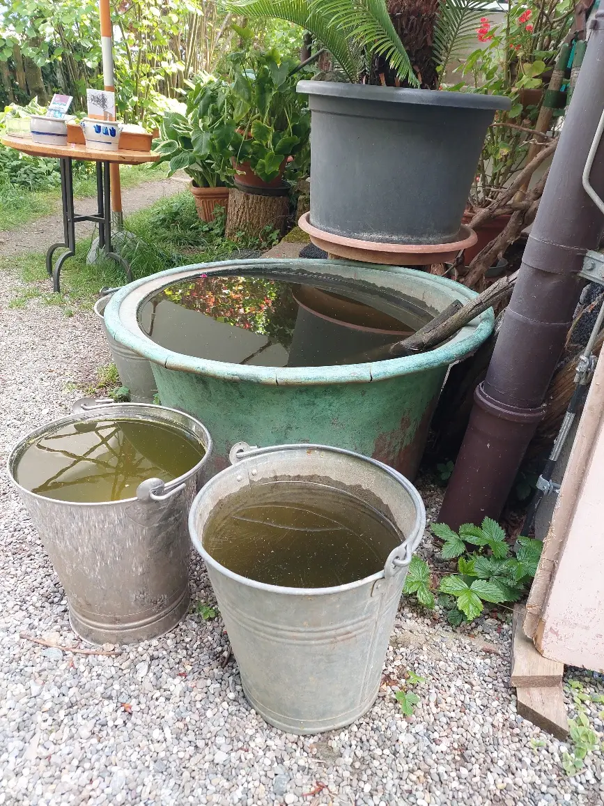 Natürliche Kreisläufe