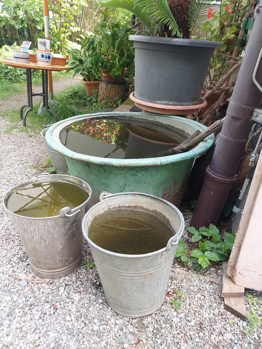 Wassersammler