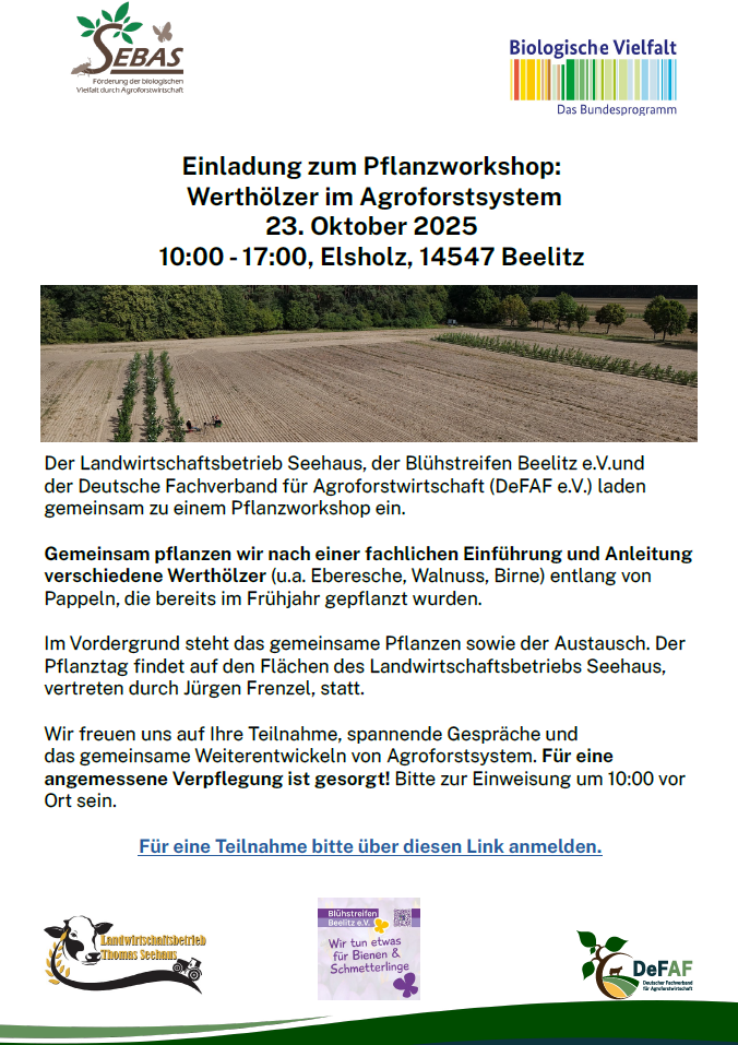 Einladung zum Download