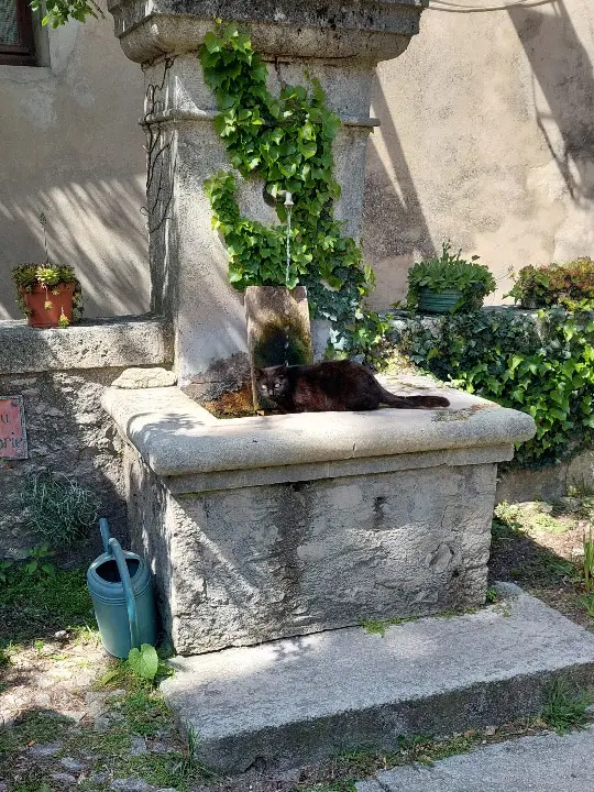 Wasserspeicher