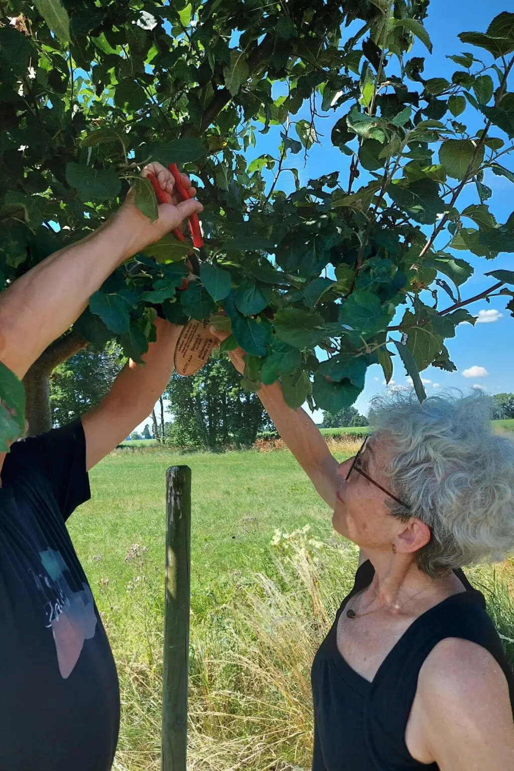 Baumpatin Barbara P. mit ihrem Apfelbaum am Naturlehrpfad Buchholz