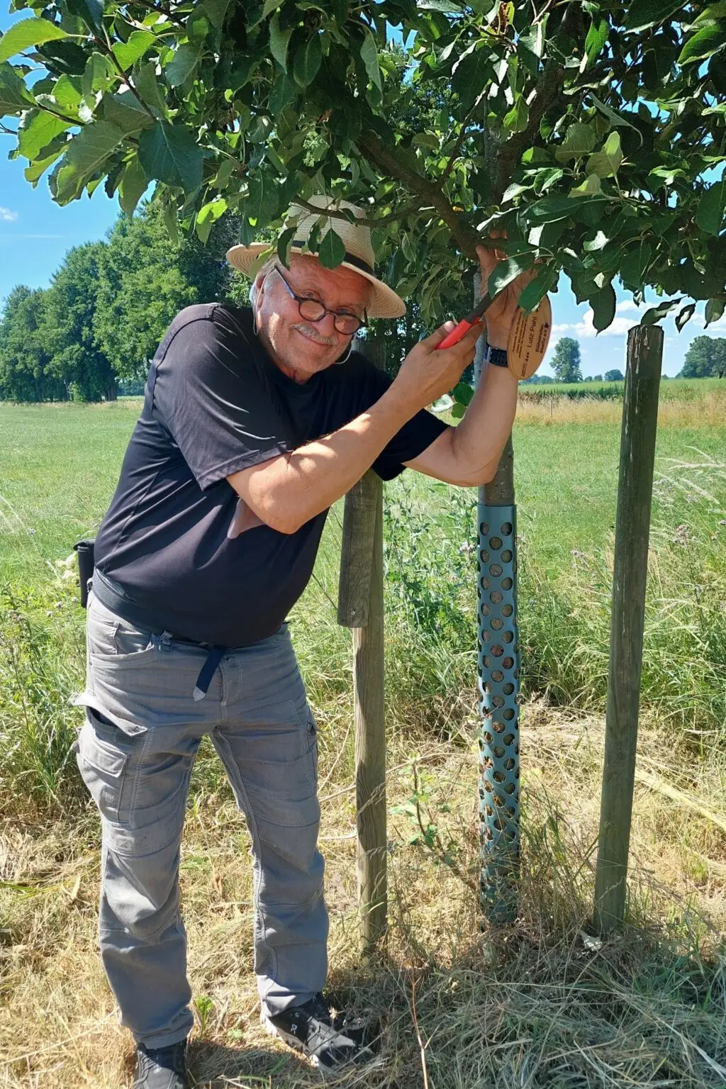 Anbringen der Holzplakette am gepatenten Apfelbaum