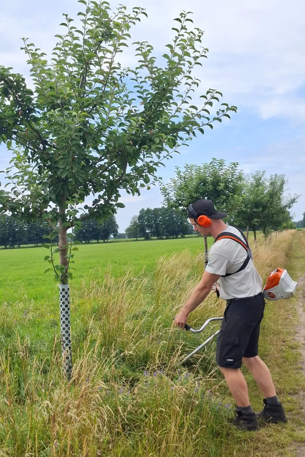Pflegearbeiten unter Obstbäumen auf einer Streuobstwiese
