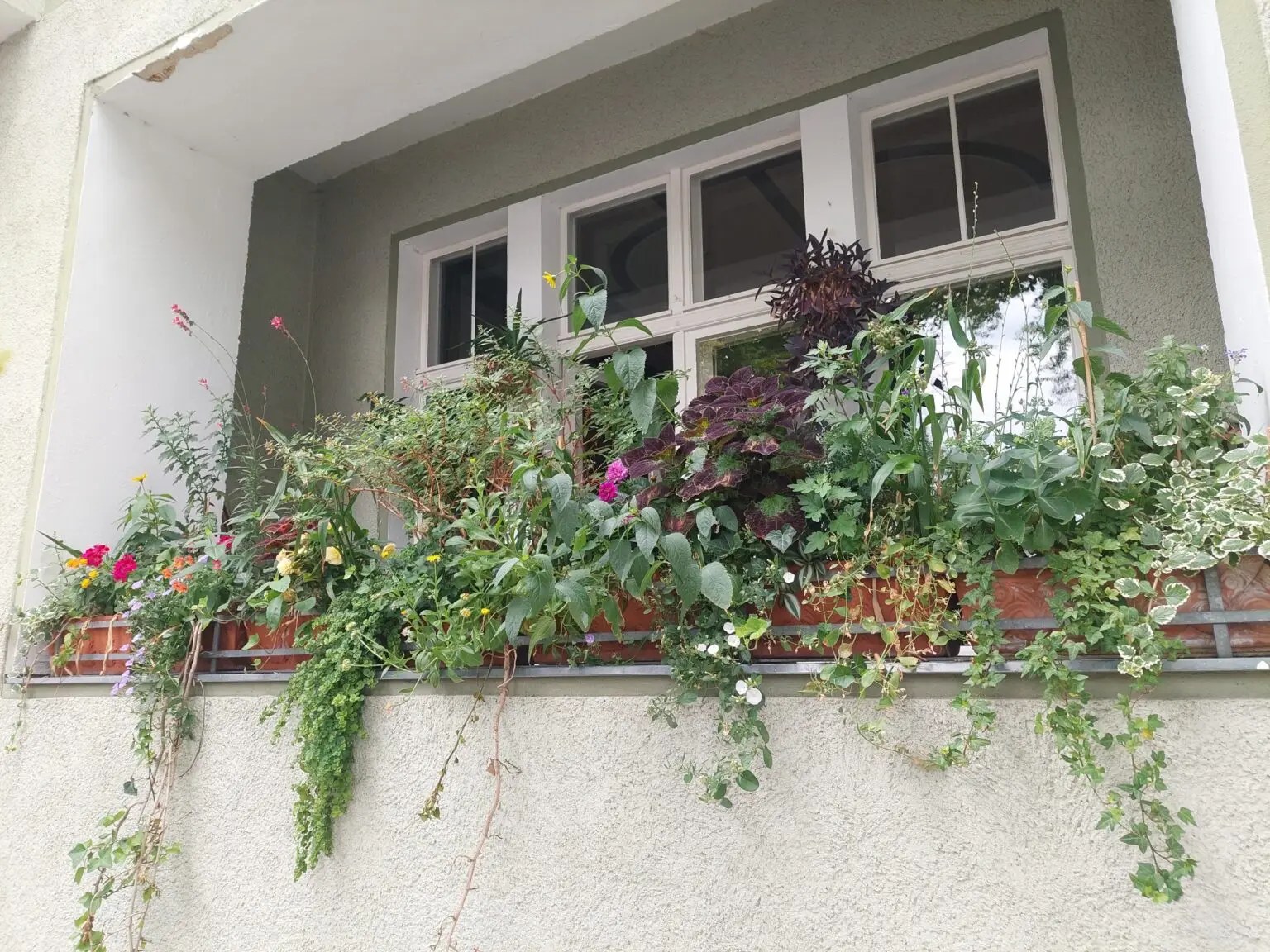 Blühender Balkon mit Sommerblumen als Fundstück des Monats