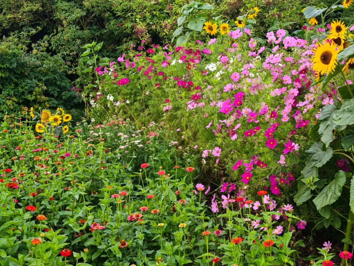 Naturgarten von Elin und Palle in Dänemark mit Übernachtungsmöglichkeit