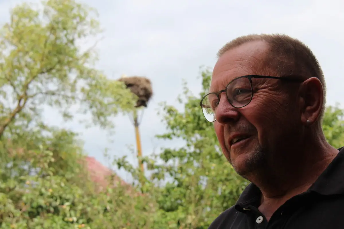 Herr Voigt bei der Storchenzählung an seinem Storchenhorst in Lühsdorf